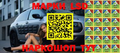 индика Комсомольск-на-Амуре