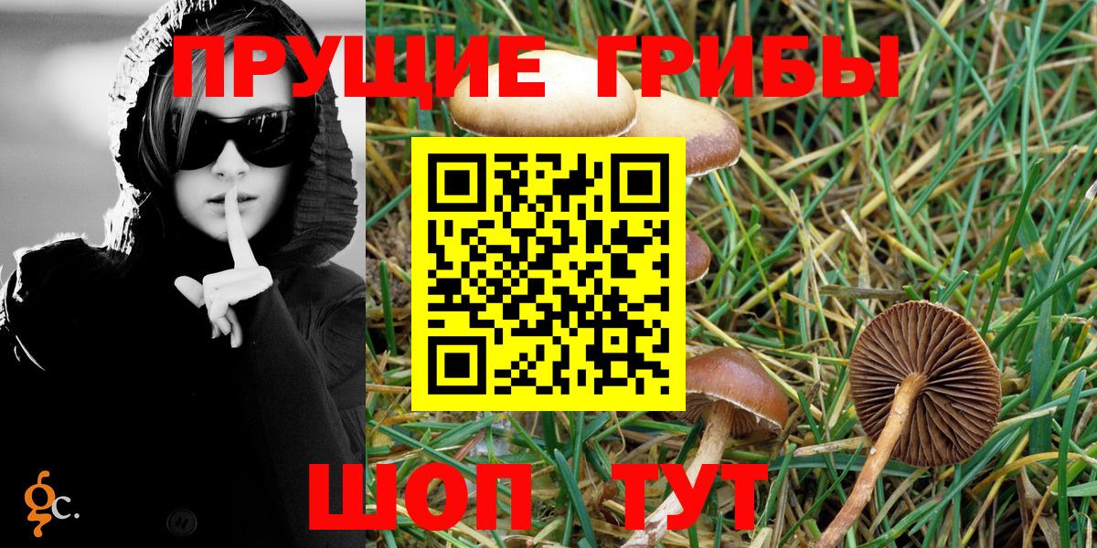 Галлюциногенные грибы MAGIC MUSHROOMS Крымск