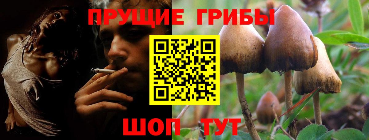 Крымск  Галлюциногенные грибы Cubensis  Вход с VPN 